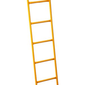 ACCESS LADDER 5' - Ladder