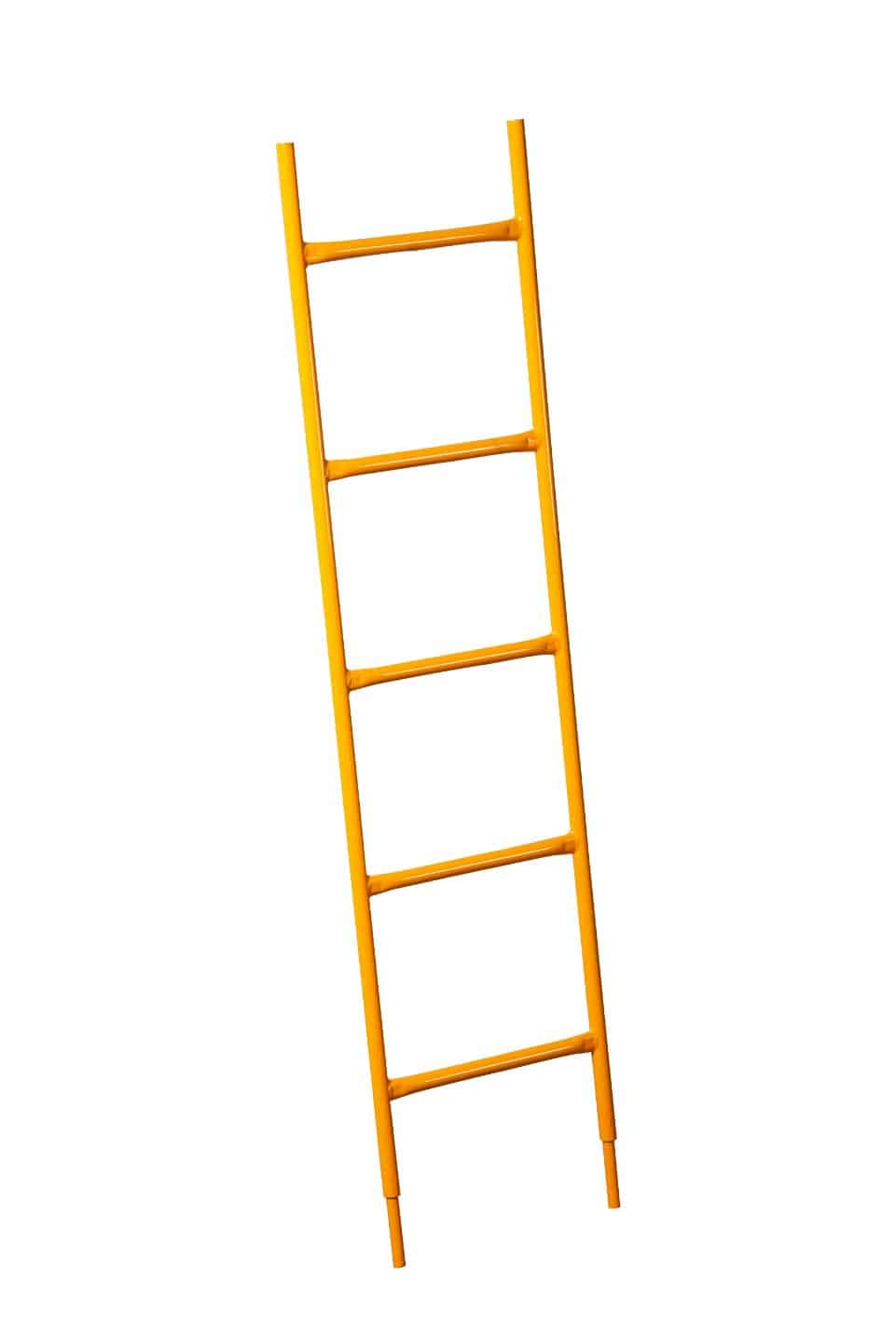 ACCESS LADDER 5′