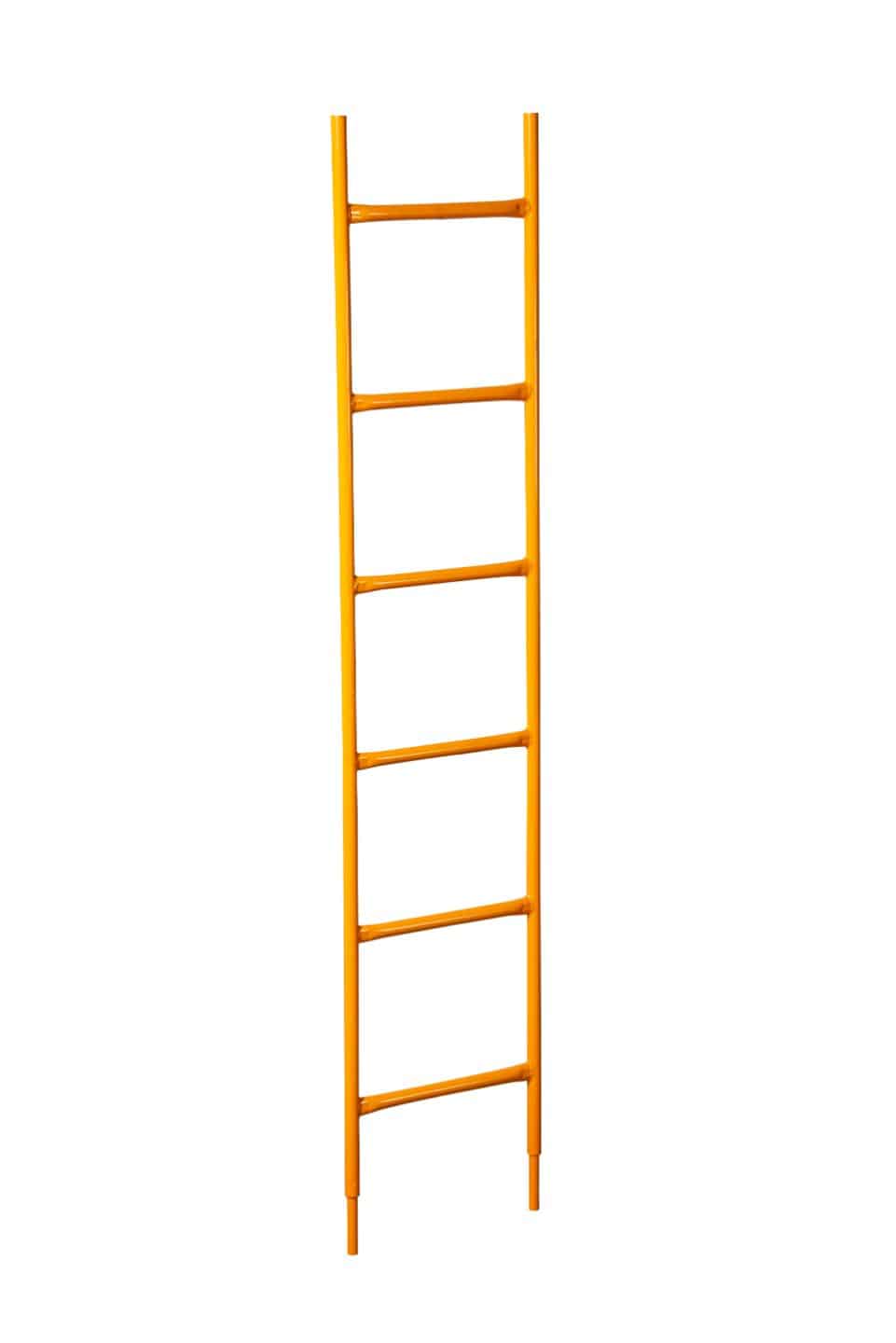 ACCESS LADDER 6’4